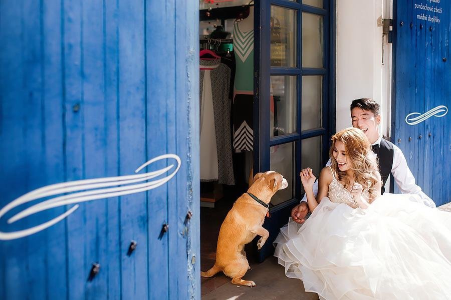 Wedding couple with a dog